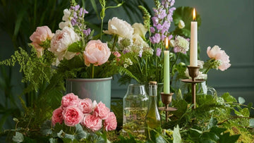 Evin Mis Gibi Kokması İçin Ne Yapmalı?